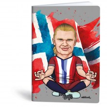 Bilježnica A4 40 listova diktando Football icons